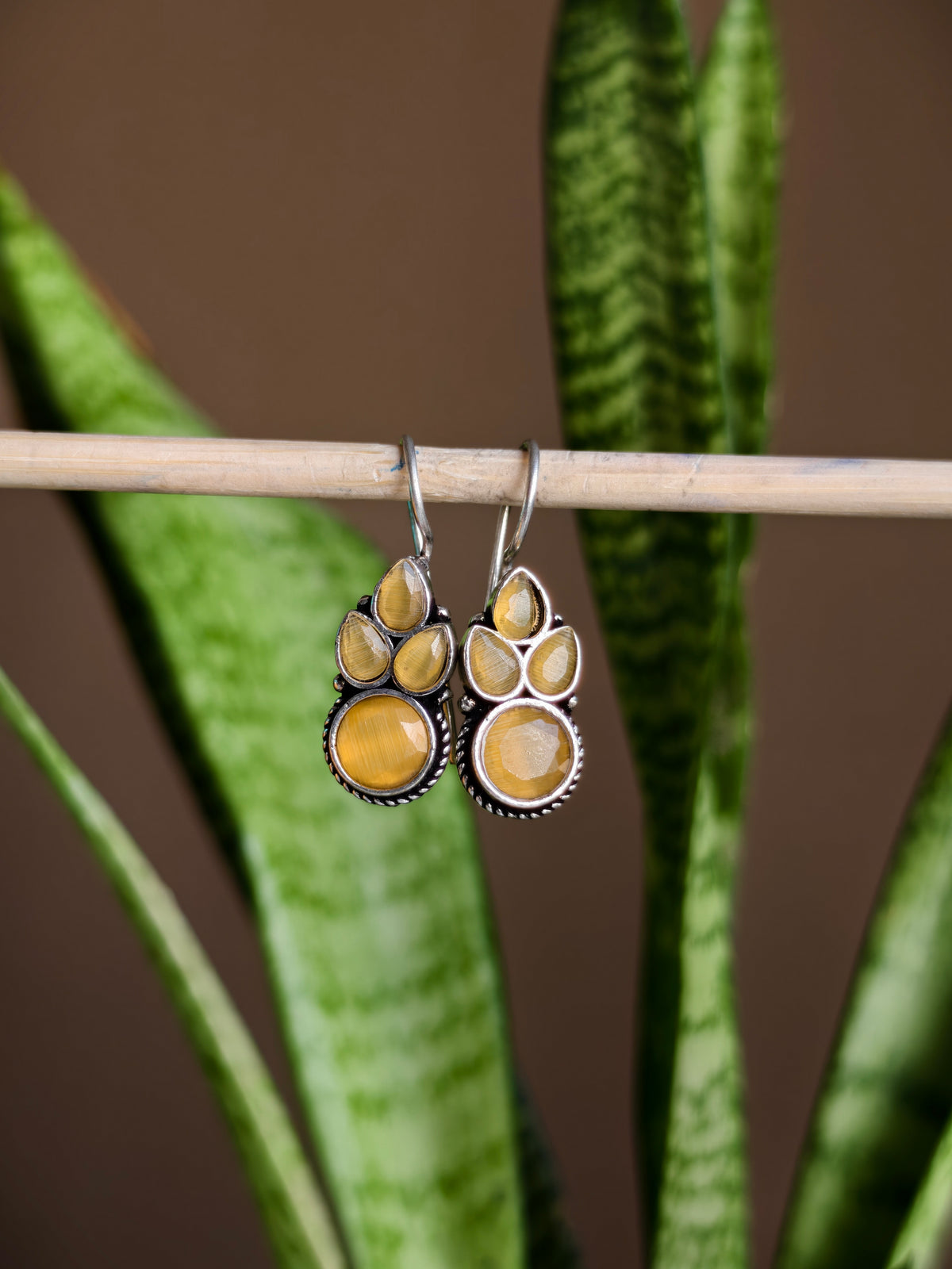 Nitya Eardrops